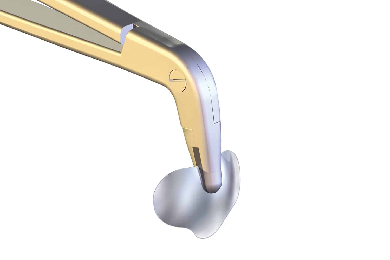 myQuickmatrix-Forceps_02